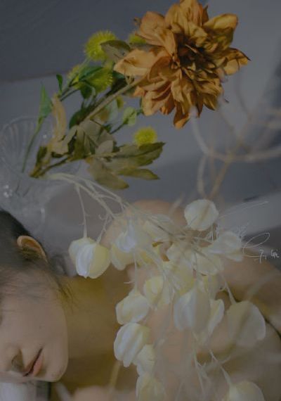 小姨母2