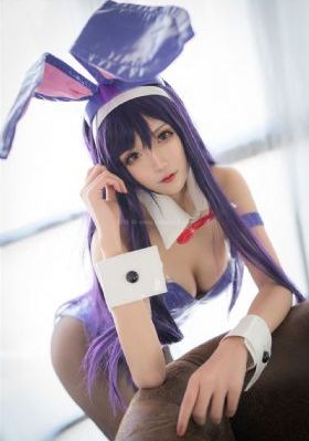 完美秘书
