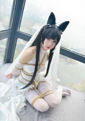男女大战