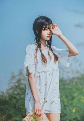 安家天下